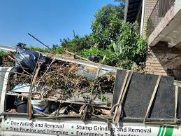 Professional Junk Removal Services in Bonnie Brae, IL